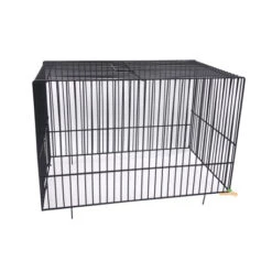 Dôme Cage D'exposition Frisé