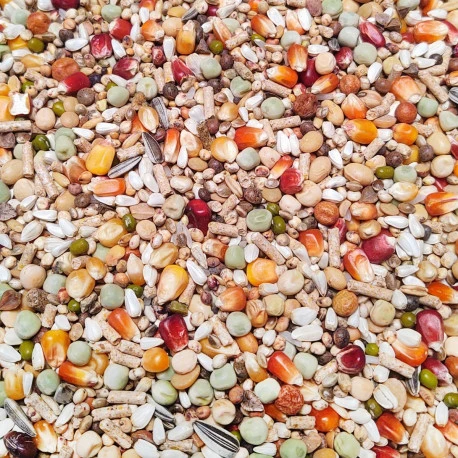 Élevage Pro Revolution 20kg - Numéro 58 - Vanrobaeys 1 Élevage Pro Revolution 20kg - Numéro 58 - Vanrobaeys