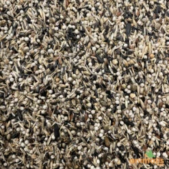 Mélange De Graines Pour Tarins Américains Et Européens 15kg - Hoebre -Fournitures Pour Oiseaux melange de graines pour tarins americains et europeens 15kg 2