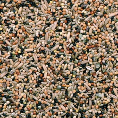 Mélange Volière 20Kg - Duvo 2 Mélange Volière 20Kg - Duvo – Image 2