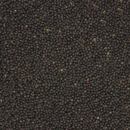 Navette 20kg 1 Navette 20kg