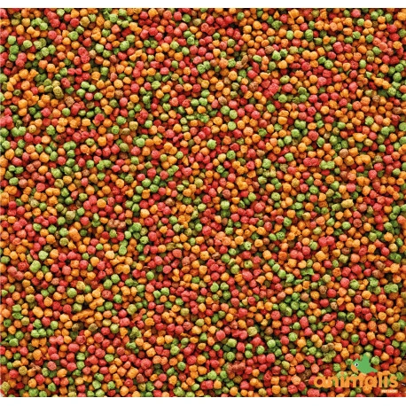 VERSELE-LAGA Nutribird B14 3kg 2 VERSELE-LAGA Nutribird B14 3kg – Image 2