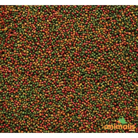 VERSELE-LAGA Nutribird C15 10kg - Aliment D'entretien Pour Canaris, Oiseaux Exotiques Et Indigènes 2 VERSELE-LAGA Nutribird C15 10kg - Aliment D'entretien Pour Canaris, Oiseaux Exotiques Et Indigènes – Image 2