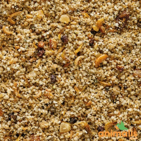 VERSELE-LAGA Uni Pâtée 25kg - Aliment Complet Pour Les Petits Frugivores Et Insectivores 2 VERSELE-LAGA Uni Pâtée 25kg - Aliment Complet Pour Les Petits Frugivores Et Insectivores – Image 2