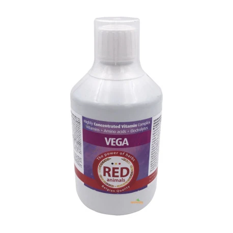 Vega 500 Ml - Vitamines, Acides Aminés Et Électrolytes 1 Vega 500 Ml - Vitamines, Acides Aminés Et Électrolytes