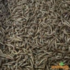 Vers De Farine Vivants 2kg